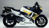 cbr600s.gif (47118 bytes)